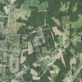Female reported with neck pain in Rolesville