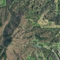 Female fell at home after recent hospital release