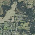 Person sick near Waywood Drive in Lascassas