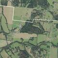 Person dizzy and disoriented at Bradley Creek Road