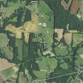 Person reported sick near Rabbit Highway