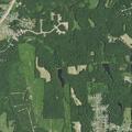 Runaway juvenile reported near Tobacco Woods Dr