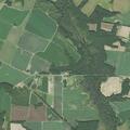 Stolen cell phone reported on Mayo Farm Road