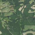 Domestic dispute reported near Millhaven Trail in Spring Hope