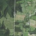 Deer reported near 1st Little River Bridge