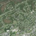 Tree down on power lines causes outage and road block