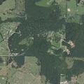 81-year-old woman with chest pain near Madison in Wesley