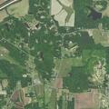 Elderly man assisted to wheelchair at Yadkin Valley Rd