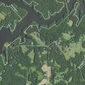 Psychiatric call near Danford Road