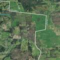 Person fell near Northeast End Road in Strawberry Plains