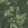 Welfare check on two people near Chinquapin Road