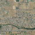 Person bitten by loose dog at Springville and Conner