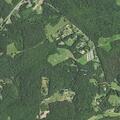 74-year-old woman sick near Cove Branch Road in Moravian Falls