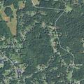 Female possible overdose near North Forest Avenue