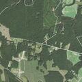 Animal welfare check near Sharon Acres in Battleboro