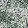 Person reported sick near Bluebird Street in Greensboro
