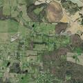Dogs reported attacking livestock at Bishop Loop