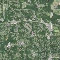 86-year-old woman with chest pain in Hillsborough