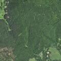 Tree blocking both lanes on West NC Highway 268