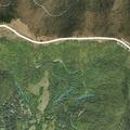 Bear reported causing problems at rural home