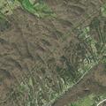Deputy en route to animal complaint on East Wolf Valley Road