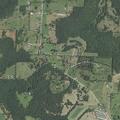 83-year-old woman with seized hips near Madison