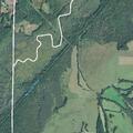 Two fallen trees reported on Big Sandy River Road