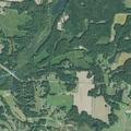 Two-car crash on Highway 22 at Cardinal Road