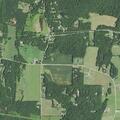 Person with headache near Brook Hollow Road