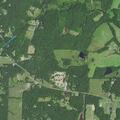 Person suffers a fall near Phelps Road