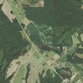 Large oak tree fire near Swift Creek School Road