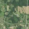 Loose dog blocking roadway near East Old US 421