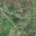 Lightning strike causes small tree fire