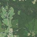 Lift assist requested at Collins Mill Road in Castalia
