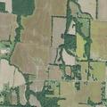 Aggressive dog reported near home on Highway 124