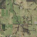 Female fallen with back pain near Fork Creek Road