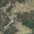 Loose cattle close part of Highway 412 near Pineville