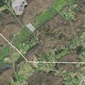 Loose dog entering yard on Thomas Road