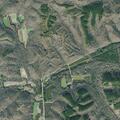 Report of neglected horses at Sulphur Creek Road