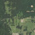 Forest fire reported on County Road 667