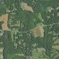 Person reported sick near Golden Pine Trail