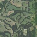 Domestic assault reported near Madison in Huntsville