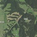 Forest fire near home on County Road 710