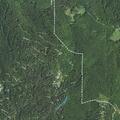 Large unattended campfire reported at Staghorn Hollow