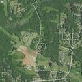 Person experiencing dizziness near Lake Brandt Road