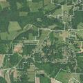 Person fallen near Blazing Wood Drive off Wide Country Road