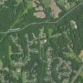 Person suffering allergic reaction at Blue Aster Trace