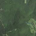 Possible stroke reported near Longway Drive