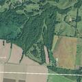 Cows reported in roadway on Cat Corner Road