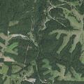 Mental evaluation requested near County Road 254 in Berryville